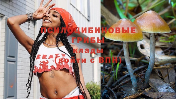 ГАЛЛЮЦИНОГЕННЫЕ ГРИБЫ Абдулино
