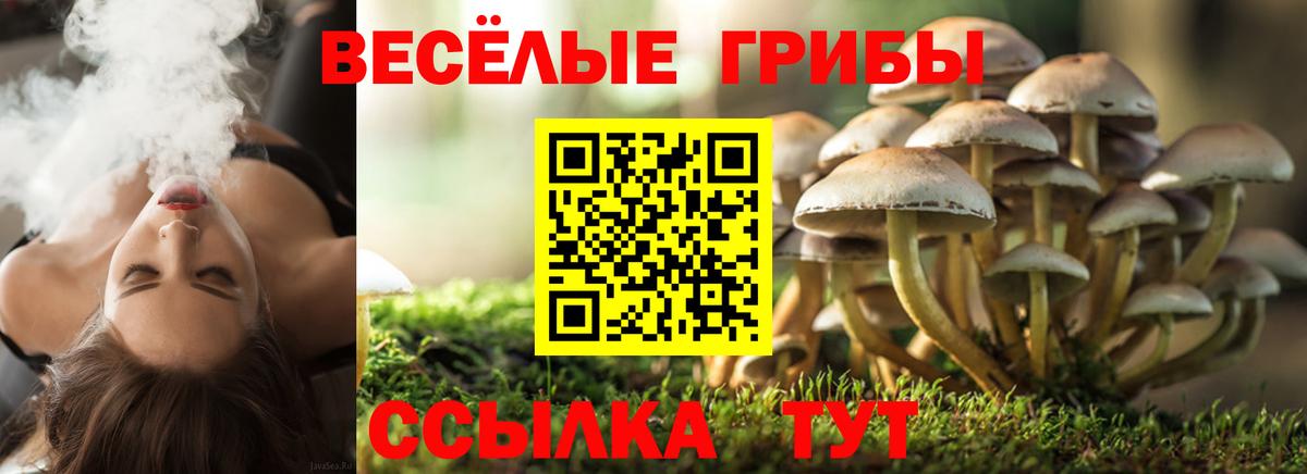 Новочебоксарск  Псилоцибиновые грибы Psilocybe  Галлюциногенные грибы Magic Shrooms  Вход с VPN 
